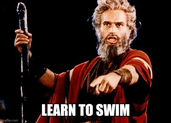 Angry Old Moses | LEARN TO SWIM | image tagged in angry old moses | made w/ Imgflip meme maker