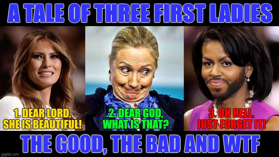 One of these is not like the others. | image tagged in first lady | made w/ Imgflip meme maker