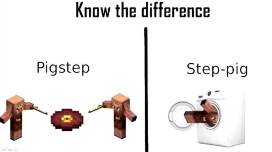 know the difference | image tagged in pig,minecraft,memes,funny,dark humor,oh wow are you actually reading these tags | made w/ Imgflip meme maker