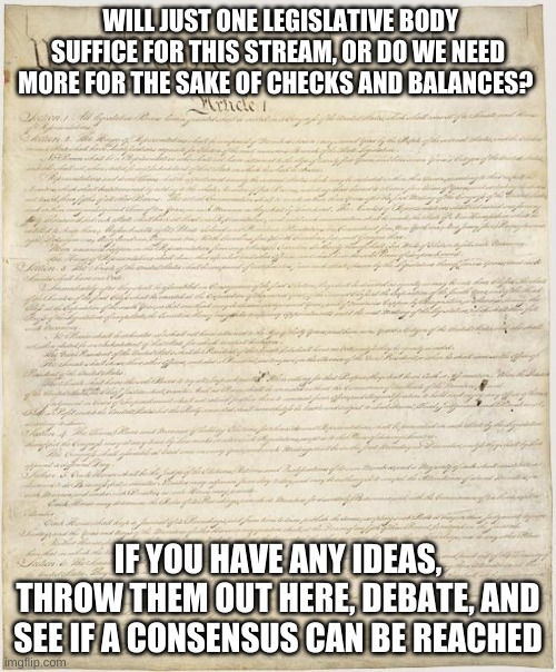 Just trying to get Ideas for the constitution. Scar is drafting, so I am only suggesting to him rn. | WILL JUST ONE LEGISLATIVE BODY SUFFICE FOR THIS STREAM, OR DO WE NEED MORE FOR THE SAKE OF CHECKS AND BALANCES? IF YOU HAVE ANY IDEAS, THROW THEM OUT HERE, DEBATE, AND SEE IF A CONSENSUS CAN BE REACHED | image tagged in constitution | made w/ Imgflip meme maker