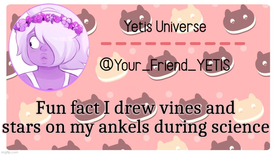 heh | Fun fact I drew vines and stars on my ankels during science | image tagged in yetis universe | made w/ Imgflip meme maker