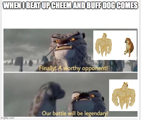 Finally! A worthy opponent! | WHEN I BEAT UP CHEEM AND BUFF DOG COMES | image tagged in finally a worthy opponent | made w/ Imgflip meme maker