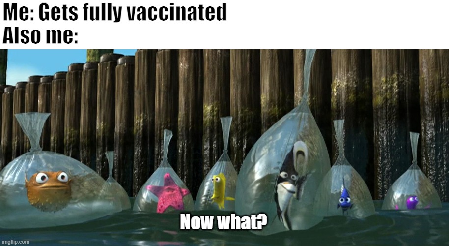 Fully Vaccinated Now What | Me: Gets fully vaccinated

Also me:; Now what? | image tagged in now what - finding nemo | made w/ Imgflip meme maker