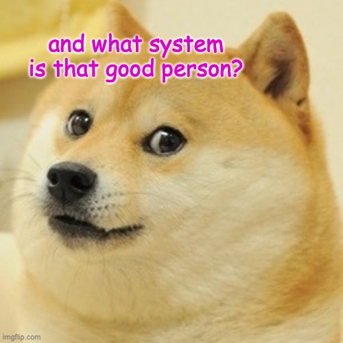 Doge Meme | and what system is that good person? | image tagged in memes,doge | made w/ Imgflip meme maker