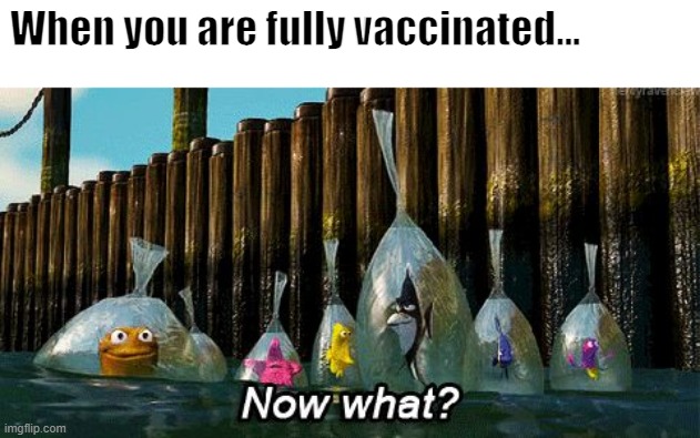 When you are fully vaccinated | When you are fully vaccinated... | image tagged in now what | made w/ Imgflip meme maker