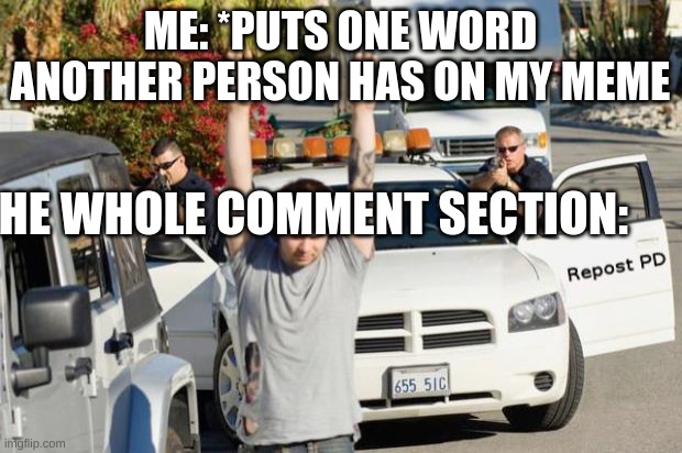 Repost Police | ME: *PUTS ONE WORD ANOTHER PERSON HAS ON MY MEME; THE WHOLE COMMENT SECTION: | image tagged in repost police | made w/ Imgflip meme maker