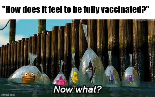 how does it feel to be fully vaccinated | "How does it feel to be fully vaccinated?" | image tagged in now what | made w/ Imgflip meme maker