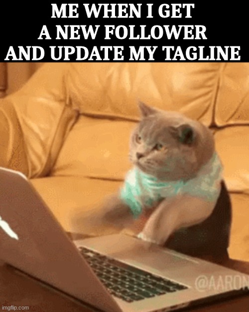 hehhe | ME WHEN I GET A NEW FOLLOWER AND UPDATE MY TAGLINE | image tagged in fast typing cat | made w/ Imgflip meme maker