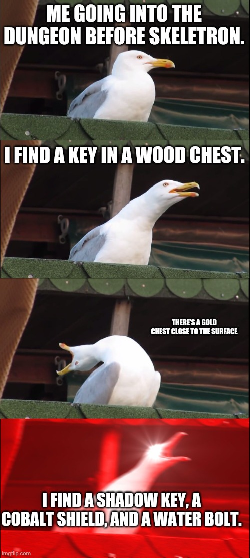 Inhaling Seagull | ME GOING INTO THE DUNGEON BEFORE SKELETRON. I FIND A KEY IN A WOOD CHEST. THERE'S A GOLD CHEST CLOSE TO THE SURFACE; I FIND A SHADOW KEY, A COBALT SHIELD, AND A WATER BOLT. | image tagged in memes,inhaling seagull | made w/ Imgflip meme maker