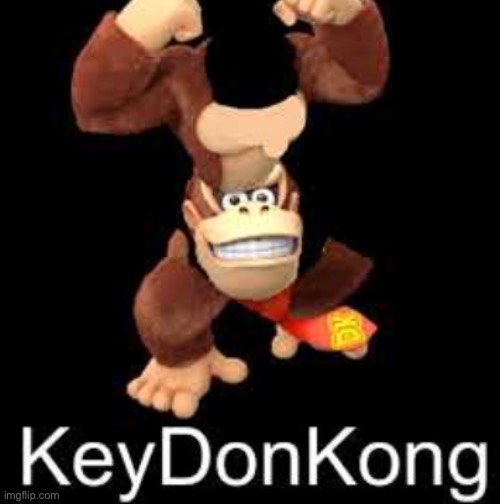 i am supposed to be asleep- | image tagged in memes,funny,donkey kong,wtf | made w/ Imgflip meme maker