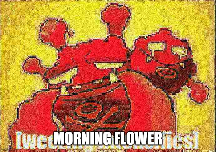 Weezing Intensifies: Deep fryed | MORNING FLOWER | image tagged in weezing intensifies deep fryed | made w/ Imgflip meme maker