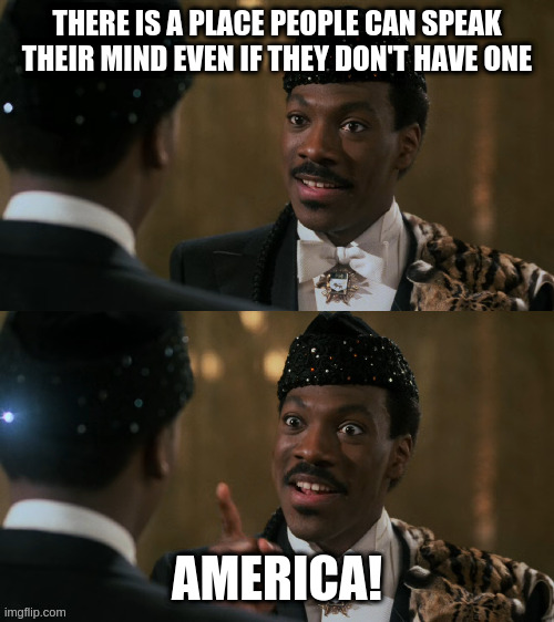 How decisions are made | THERE IS A PLACE PEOPLE CAN SPEAK THEIR MIND EVEN IF THEY DON'T HAVE ONE; AMERICA! | image tagged in how decisions are made | made w/ Imgflip meme maker
