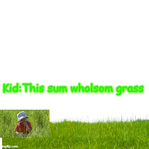 changed my name lmao | Kid:This sum wholsom grass | image tagged in memes,grass,why are you reading this,stop reading the tags,seriously stop | made w/ Imgflip meme maker