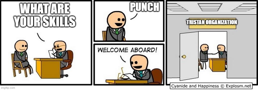 FistiCUFFS | PUNCH; WHAT ARE YOUR SKILLS; TRISTAN ORGANIZATION | image tagged in job interview | made w/ Imgflip meme maker