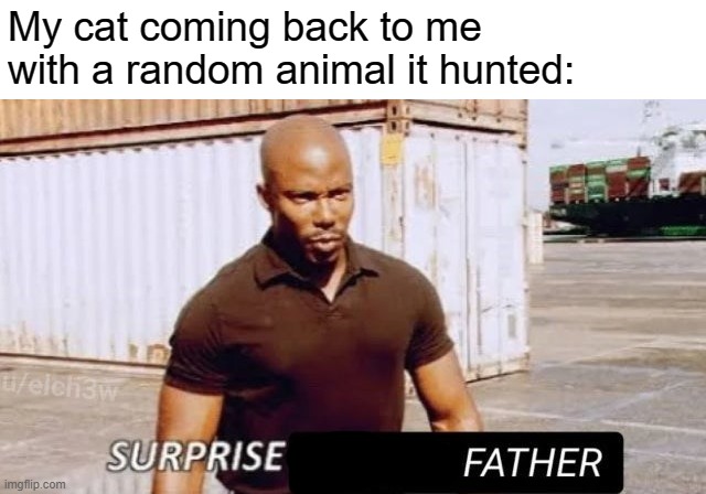 My cat coming back to me with a random animal it hunted: | made w/ Imgflip meme maker