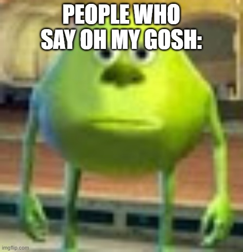 Sully Wazowski | PEOPLE WHO SAY OH MY GOSH: | image tagged in sully wazowski | made w/ Imgflip meme maker