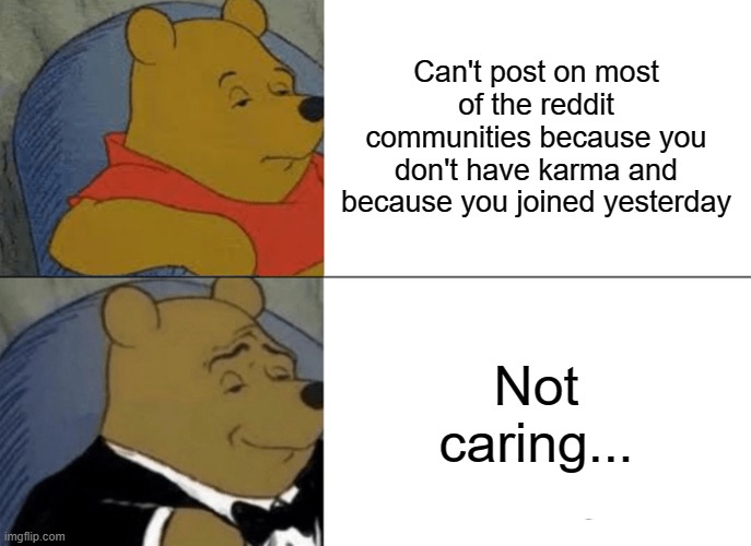 Tuxedo Winnie The Pooh | Can't post on most of the reddit communities because you don't have karma and because you joined yesterday; Not caring... | image tagged in memes,reddit,damn,hahahaha | made w/ Imgflip meme maker