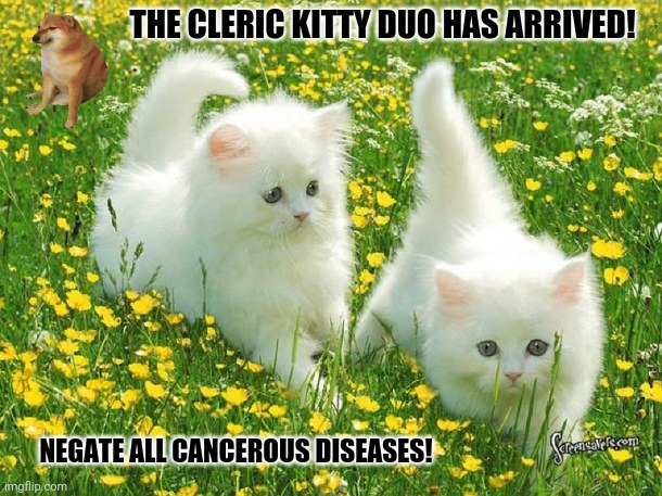 cute kitties | THE CLERIC KITTY DUO HAS ARRIVED! NEGATE ALL CANCEROUS DISEASES! | image tagged in memes,cute kittens,computer virus | made w/ Imgflip meme maker