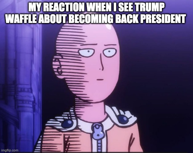 One Punch Man | MY REACTION WHEN I SEE TRUMP WAFFLE ABOUT BECOMING BACK PRESIDENT | image tagged in one punch man | made w/ Imgflip meme maker