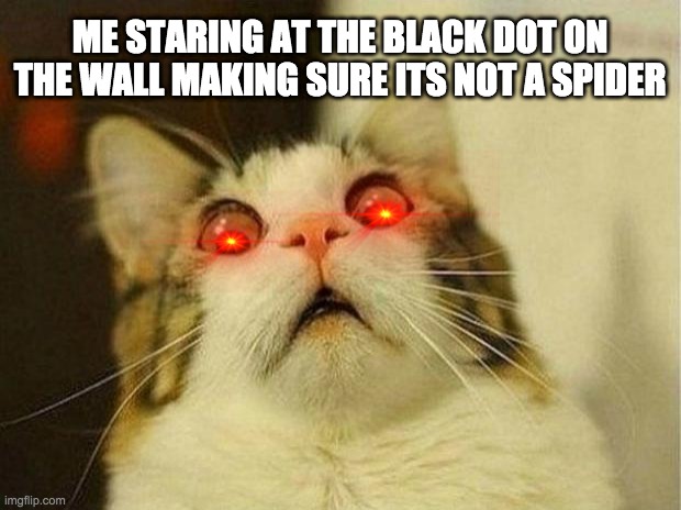 Scared Cat Meme | ME STARING AT THE BLACK DOT ON THE WALL MAKING SURE ITS NOT A SPIDER | image tagged in memes,scared cat | made w/ Imgflip meme maker