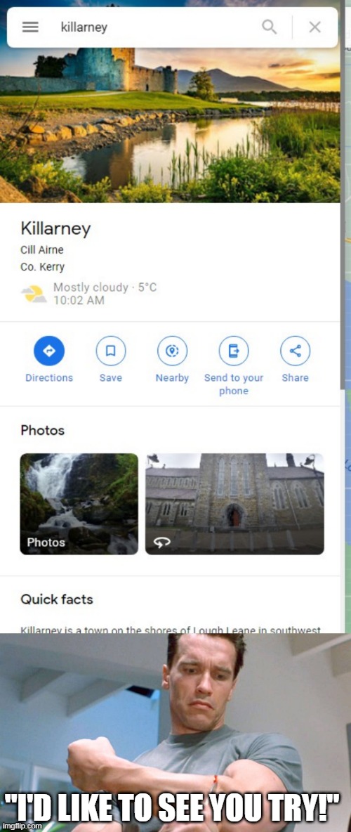 killarney | "I'D LIKE TO SEE YOU TRY!" | image tagged in killarney | made w/ Imgflip meme maker