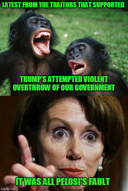 I'm shocked, SHOCKED! that it took these spineless twits this long to do it | LATEST FROM THE TRAITORS THAT SUPPORTED; TRUMP'S ATTEMPTED VIOLENT OVERTHROW OF OUR GOVERNMENT; IT WAS ALL PELOSI'S FAULT | image tagged in memes,bonobo lyfe,nancy pelosi no spending problem | made w/ Imgflip meme maker