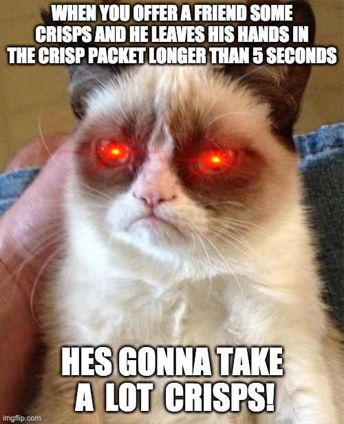 Grumpy Cat | WHEN YOU OFFER A FRIEND SOME CRISPS AND HE LEAVES HIS HANDS IN THE CRISP PACKET LONGER THAN 5 SECONDS; HES GONNA TAKE  A  LOT  CRISPS! | image tagged in memes,grumpy cat | made w/ Imgflip meme maker