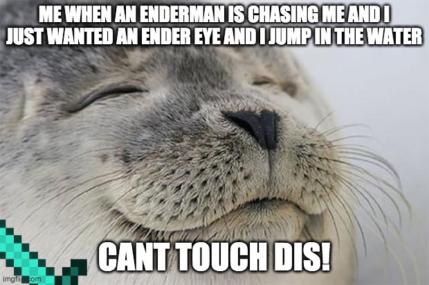 Satisfied Seal | ME WHEN AN ENDERMAN IS CHASING ME AND I JUST WANTED AN ENDER EYE AND I JUMP IN THE WATER; CANT TOUCH DIS! | image tagged in memes,satisfied seal | made w/ Imgflip meme maker