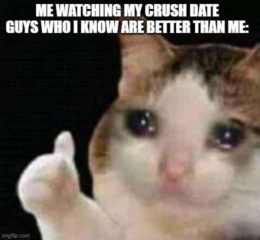 Approved crying cat | ME WATCHING MY CRUSH DATE GUYS WHO I KNOW ARE BETTER THAN ME: | image tagged in approved crying cat | made w/ Imgflip meme maker