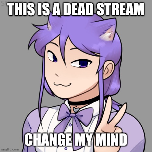 THIS IS A DEAD STREAM; CHANGE MY MIND | image tagged in kasey as a teen 3 | made w/ Imgflip meme maker