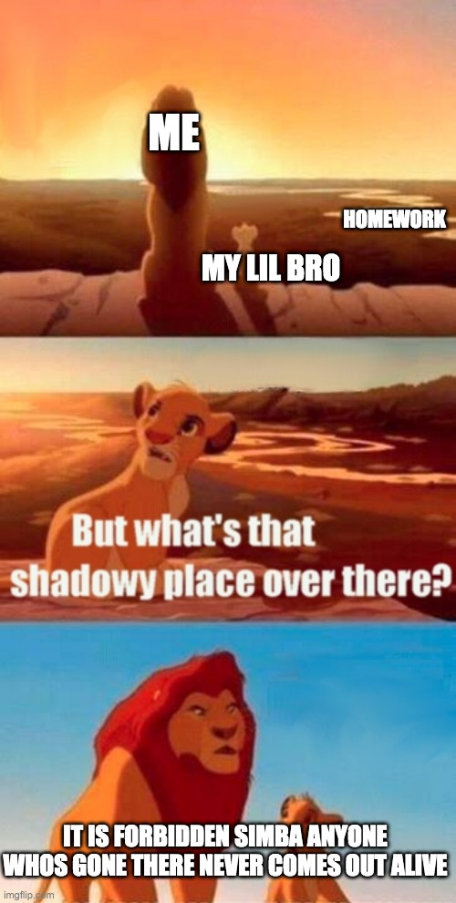 Simba Shadowy Place | ME; HOMEWORK; MY LIL BRO; IT IS FORBIDDEN SIMBA ANYONE WHOS GONE THERE NEVER COMES OUT ALIVE | image tagged in memes,simba shadowy place | made w/ Imgflip meme maker