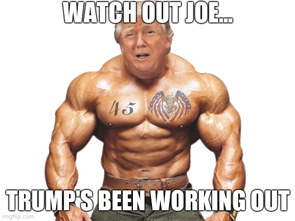 Don The Destroyer | WATCH OUT JOE... TRUMP'S BEEN WORKING OUT | image tagged in memes,donald trump,joe biden,fight,fun,political meme | made w/ Imgflip meme maker