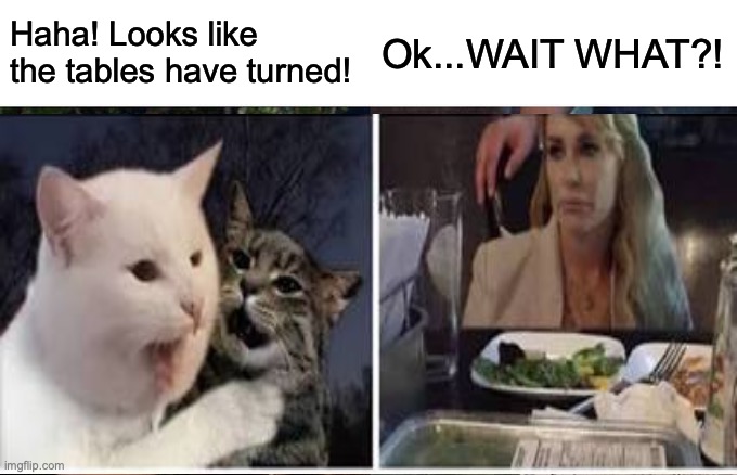 Cats rule | Haha! Looks like the tables have turned! Ok...WAIT WHAT?! | image tagged in funny cat memes | made w/ Imgflip meme maker