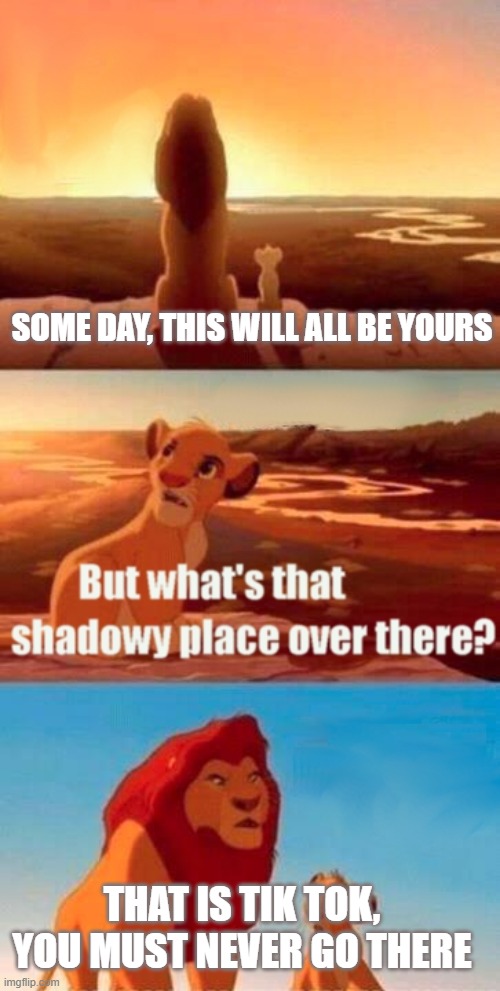 Simba Shadowy Place | SOME DAY, THIS WILL ALL BE YOURS; THAT IS TIK TOK, YOU MUST NEVER GO THERE | image tagged in memes,simba shadowy place | made w/ Imgflip meme maker