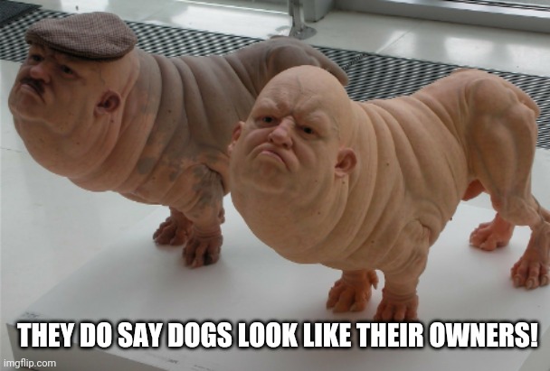THEY DO SAY DOGS LOOK LIKE THEIR OWNERS! | made w/ Imgflip meme maker