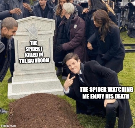 meme | THE SPIDER I KILLED IN THE BATHROOM; THE SPIDER WATCHING ME ENJOY HIS DEATH | image tagged in grant gustin over grave | made w/ Imgflip meme maker