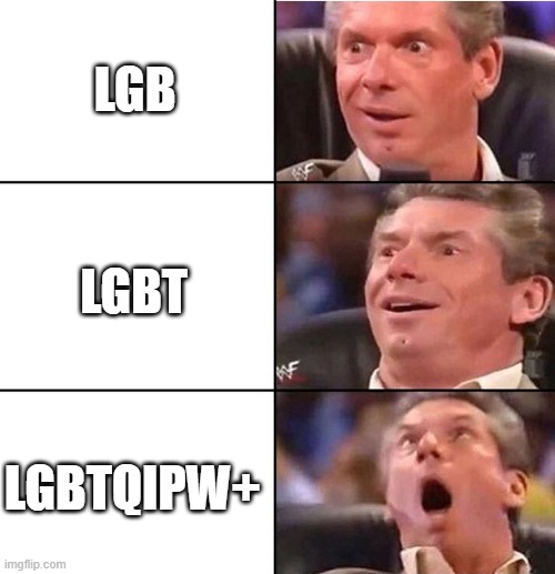 Vince McMahon | LGB; LGBT; LGBTQIPW+ | image tagged in vince mcmahon | made w/ Imgflip meme maker