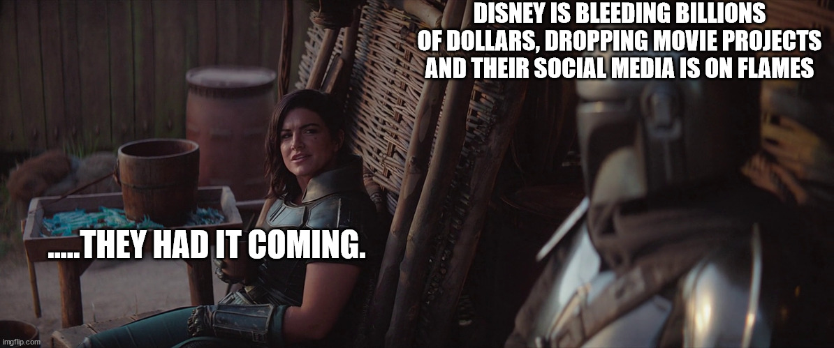 The Wokies get what they deserve. | DISNEY IS BLEEDING BILLIONS OF DOLLARS, DROPPING MOVIE PROJECTS AND THEIR SOCIAL MEDIA IS ON FLAMES; .....THEY HAD IT COMING. | image tagged in the mandalorian | made w/ Imgflip meme maker