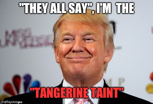 Donald trump approves | "THEY ALL SAY", I'M  THE; "TANGERINE TAINT" | image tagged in donald trump approves | made w/ Imgflip meme maker