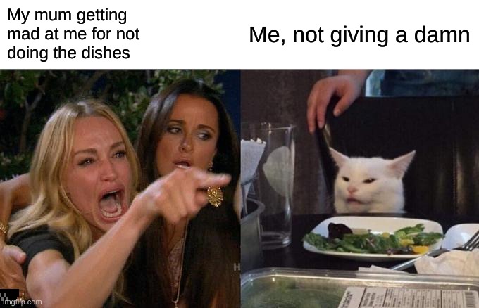 when mum tell do the dishes | My mum getting 
mad at me for not 
doing the dishes; Me, not giving a damn | image tagged in memes,woman yelling at cat | made w/ Imgflip meme maker