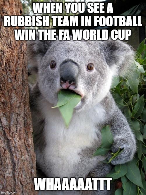 Surprised Koala | WHEN YOU SEE A RUBBISH TEAM IN FOOTBALL WIN THE FA WORLD CUP; WHAAAAATTT | image tagged in memes,surprised koala | made w/ Imgflip meme maker