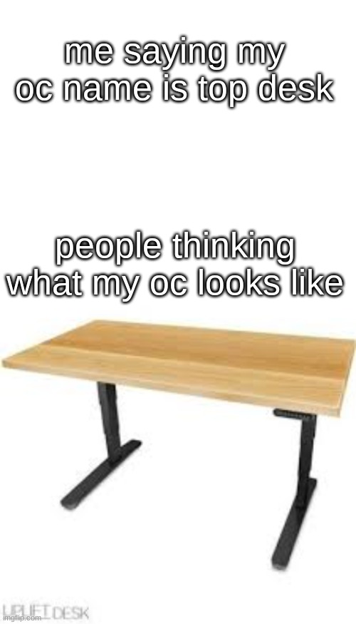 no no i got a point | me saying my oc name is top desk; people thinking what my oc looks like | image tagged in blank white template | made w/ Imgflip meme maker
