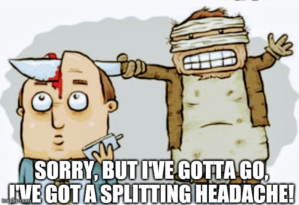 Getting cut off! | SORRY, BUT I'VE GOTTA GO,
I'VE GOT A SPLITTING HEADACHE! | image tagged in getting cut off | made w/ Imgflip meme maker