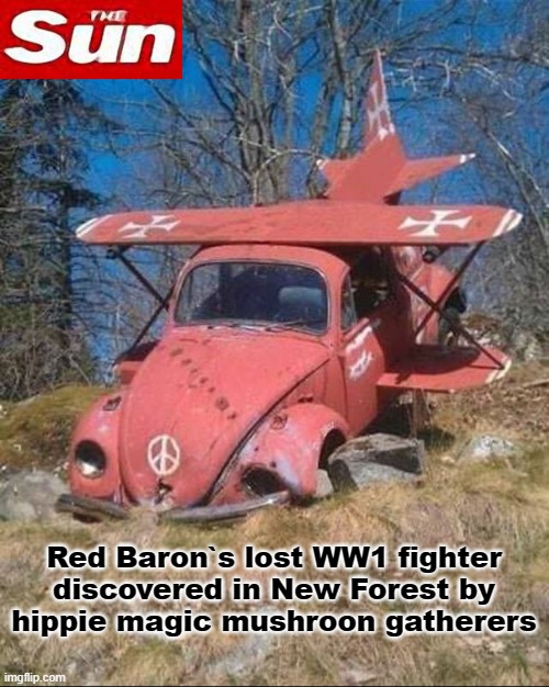 Red Baron`s lost WW1 fighter found. | Red Baron`s lost WW1 fighter
discovered in New Forest by
hippie magic mushroon gatherers | image tagged in magic mushrooms | made w/ Imgflip meme maker
