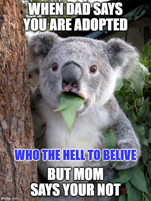 Surprised Koala Meme | WHEN DAD SAYS YOU ARE ADOPTED; BUT MOM SAYS YOUR NOT; WHO THE HELL TO BELIVE | image tagged in memes,surprised koala | made w/ Imgflip meme maker