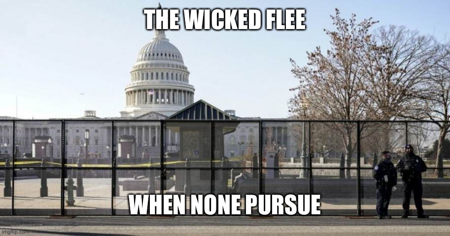 THE WICKED FLEE; WHEN NONE PURSUE | image tagged in stolen election,fraud,illigitimate | made w/ Imgflip meme maker