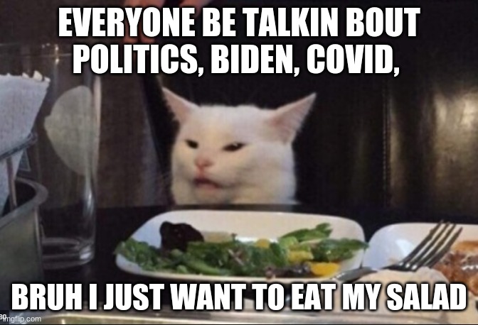 cat boomer edition | EVERYONE BE TALKIN BOUT POLITICS, BIDEN, COVID, BRUH I JUST WANT TO EAT MY SALAD | image tagged in cat eating salad | made w/ Imgflip meme maker