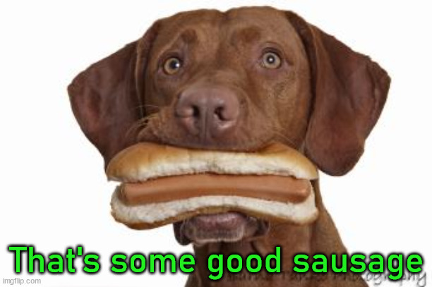 Dog eating hot dog | That's some good sausage | image tagged in dog eating hot dog | made w/ Imgflip meme maker