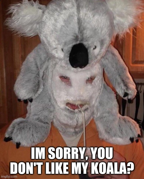 Im sorry-What? | I'M SORRY, YOU DON'T LIKE MY KOALA? | made w/ Imgflip meme maker