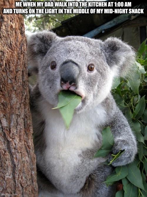 Surprised Koala | ME WHEN MY DAD WALK INTO THE KITCHEN AT 1:00 AM AND TURNS ON THE LIGHT IN THE MIDDLE OF MY MID-NIGHT SNACK | image tagged in memes,surprised koala | made w/ Imgflip meme maker